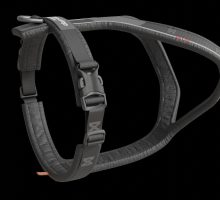 dog-harness+3d+model+29